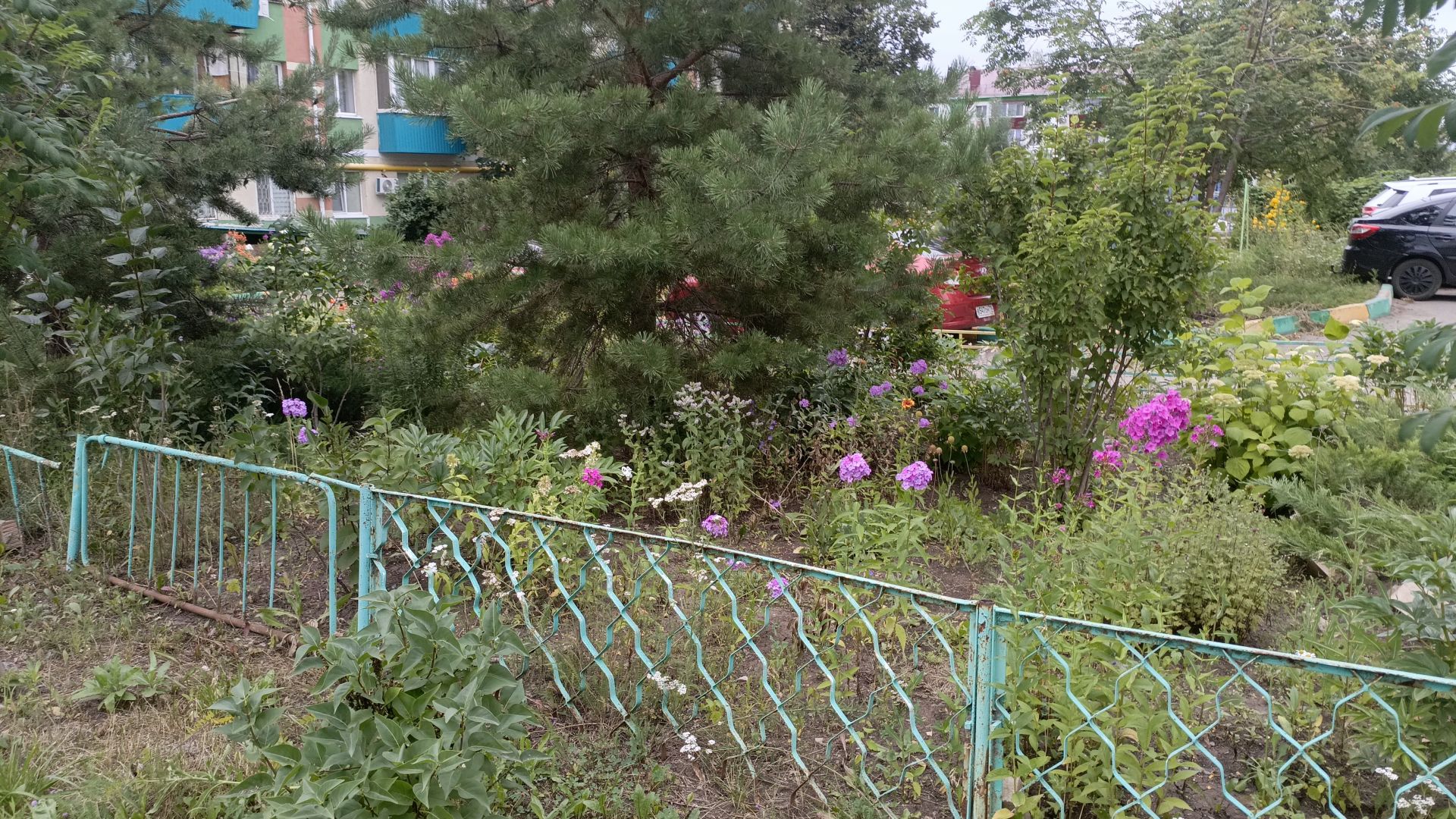 Әлмәттә иң яхшы бакчага конкурс игълан ителде