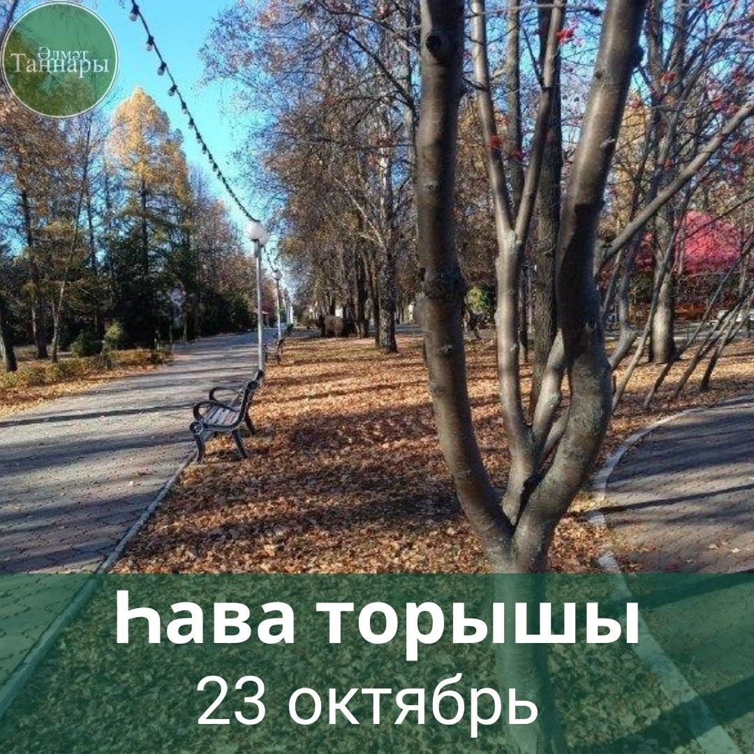 23 октябрьгә һава торышы