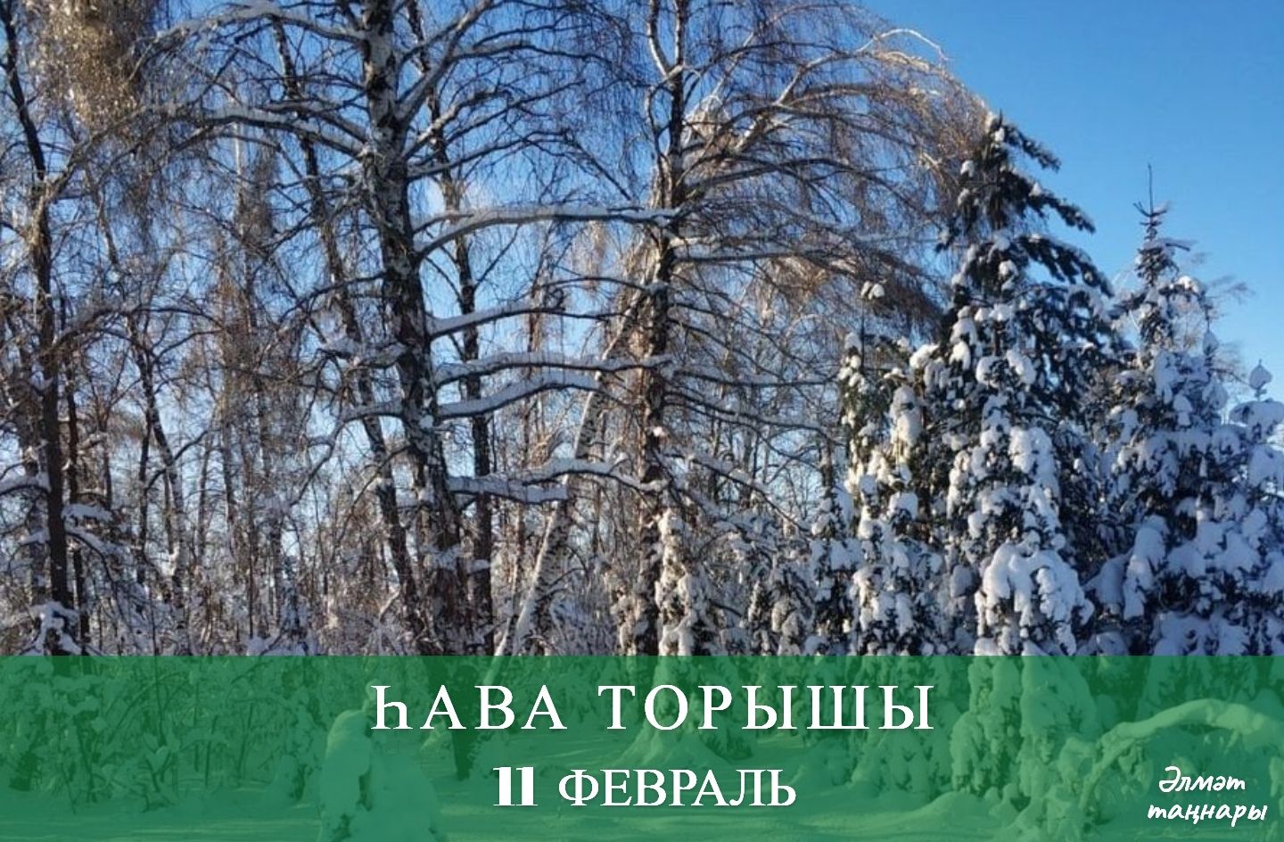 11 февральгә һава торышы