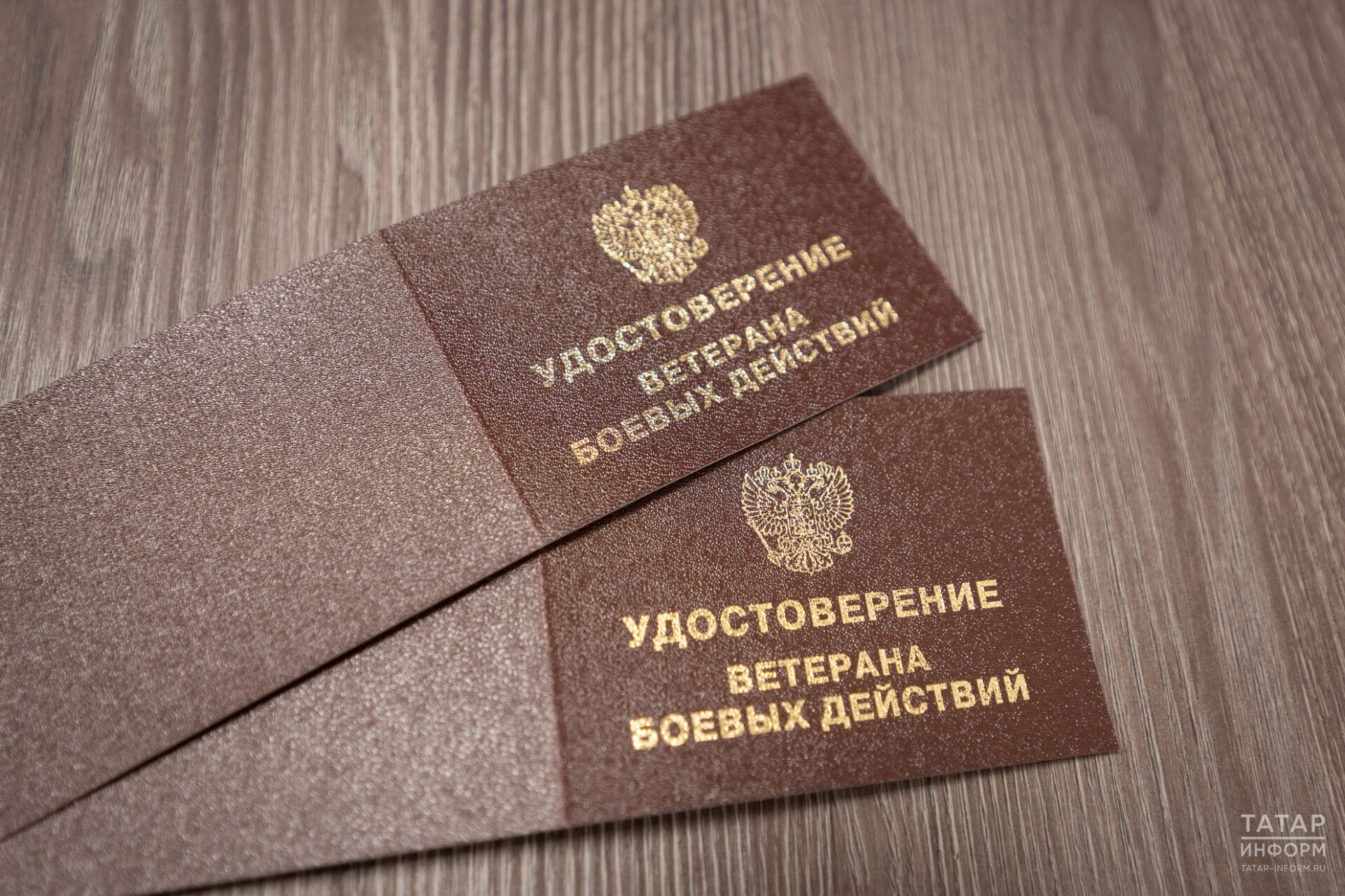 Әлмәттә «Ватанны саклаучылар» фонды 5 меңнән артык ветеранга һәм аларның гаиләләренә ярдәм итте