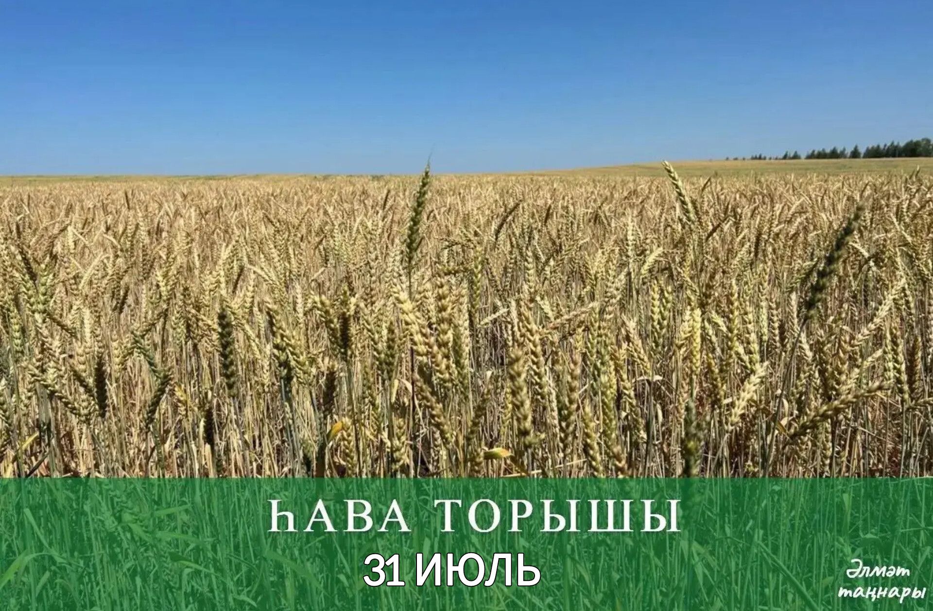 31 июльгә һава торышы