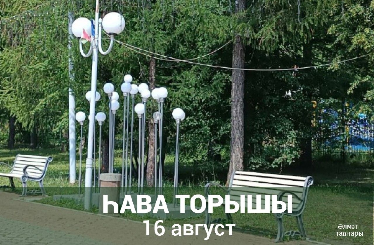 16 августка һава торышы