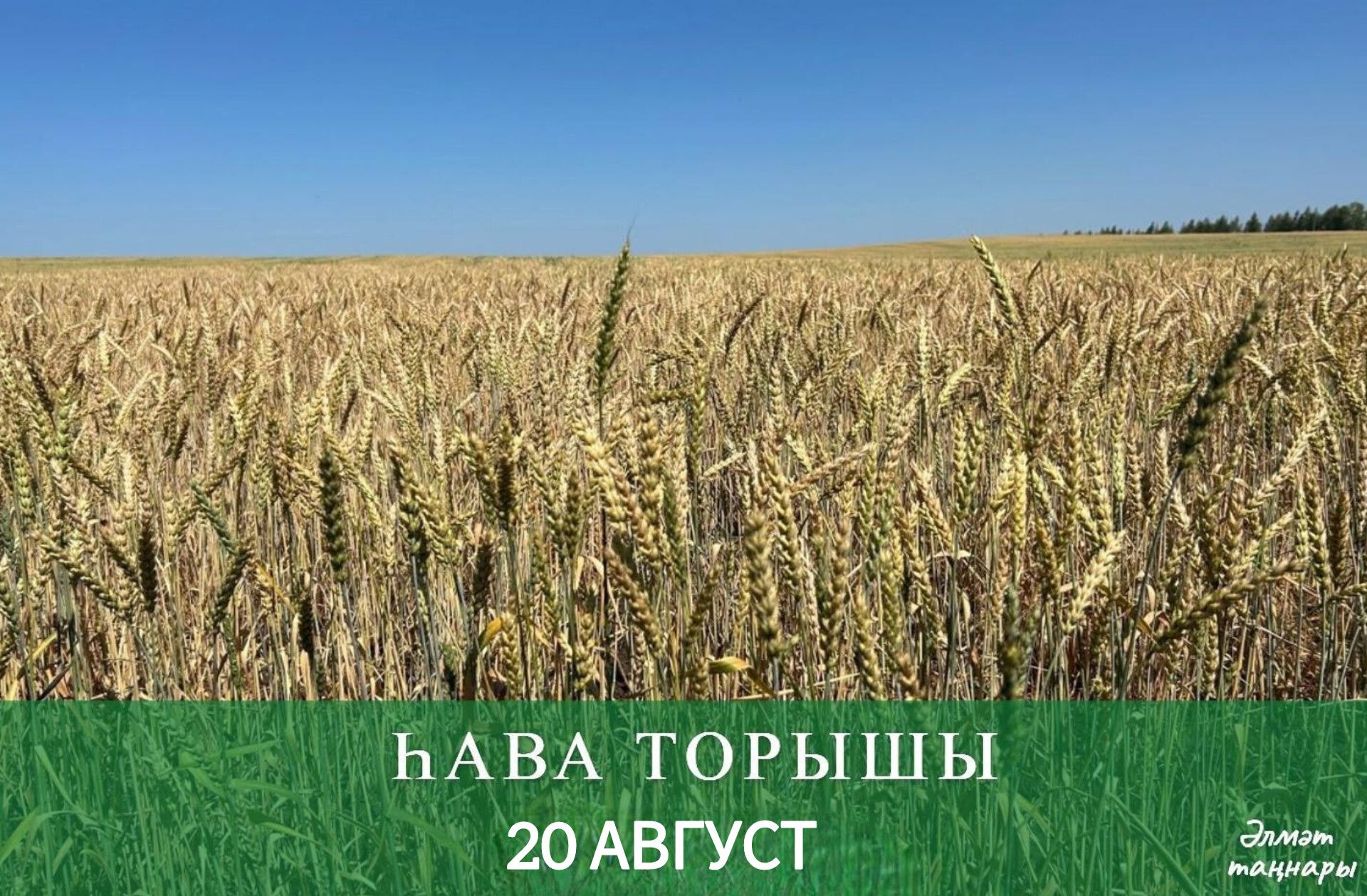 20 августка һава торышы
