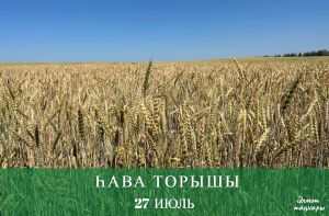 27 июльгә һава торышы