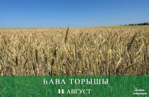 14 августка һава торышы