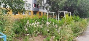 Әлмәтлеләр «Халык контроле» системасына зарлануларын дәвам итәләр