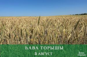3 августка һава торышы