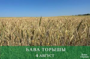 4 августа һава торышы