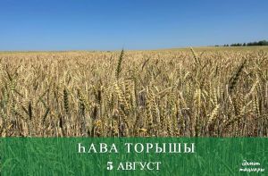 5 августка һава торышы
