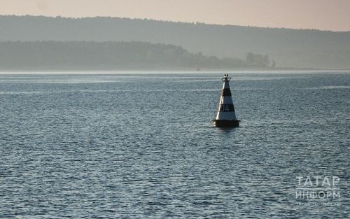 Цукерберг яшерен бункер төзетә