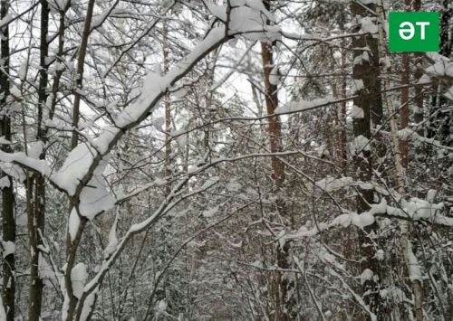 3 февральгә һава торышы
