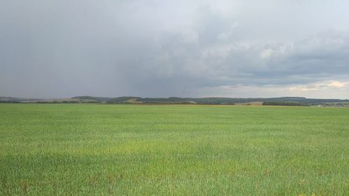29 апрельгә һава торышы