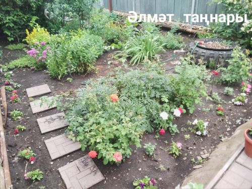 Әлмәттә чәчәк утырту эшләре башланды