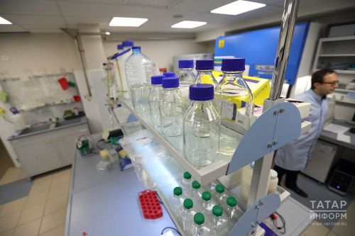 Татарстан Республикасының сигез районында нефтьчеләр һәм «Киләчәк образы» Бөтенроссия мәгариф уртак проектының «углерод эзен эзләп» өйрәтү-тикшеренүенең күчмә этабы тәмамланды