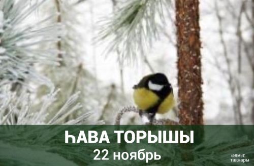 22 ноябрьгә һава торышы