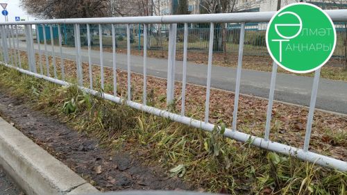 Әлмәт районы юллары буйлап 2 километрдан артык койма куйдылар