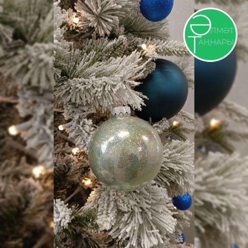 Әлмәт районы башлыгы Әмирнең Яңа ел теләген үтәячәк