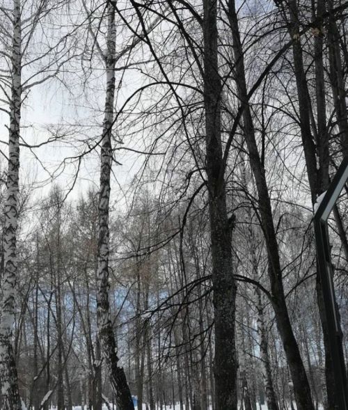 23 мартка һава торышы