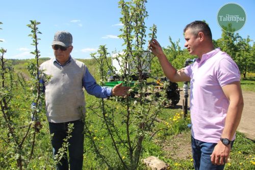 Әлмәттә 6 тоннадан артык макулатураны үсентеләргә алыштырганнар