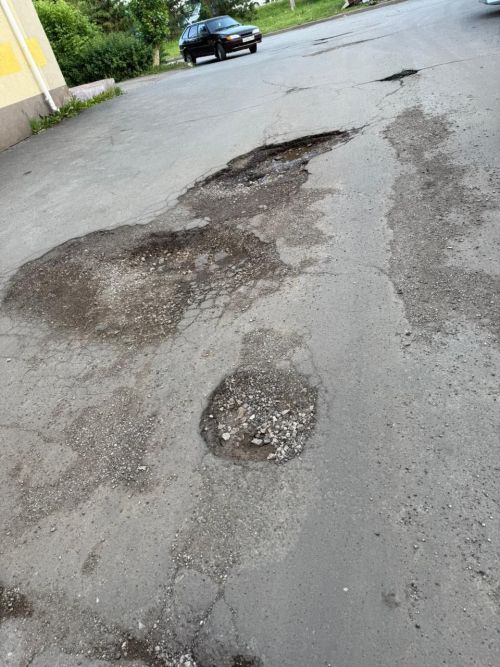 Әлмәтлеләр ишегалларында үскән үләннән зарлана