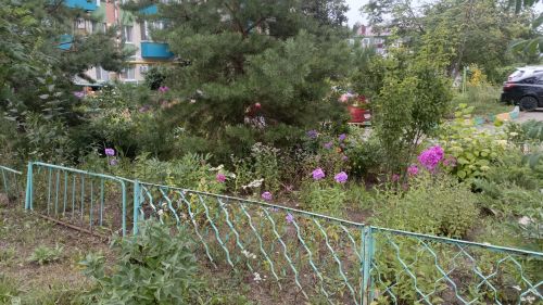 Әлмәттә иң яхшы бакчага конкурс игълан ителде