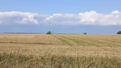 18 июльгә һава торышы