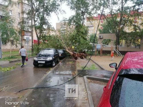 Әлмәттәге идарәче компания директорына штраф салдылар