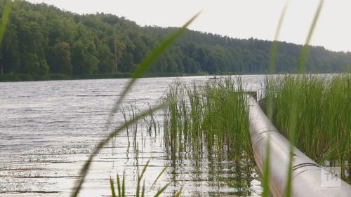 Әлмәтнең «Шәмсенур» паркында елганы чистартуны дәвам итәләр