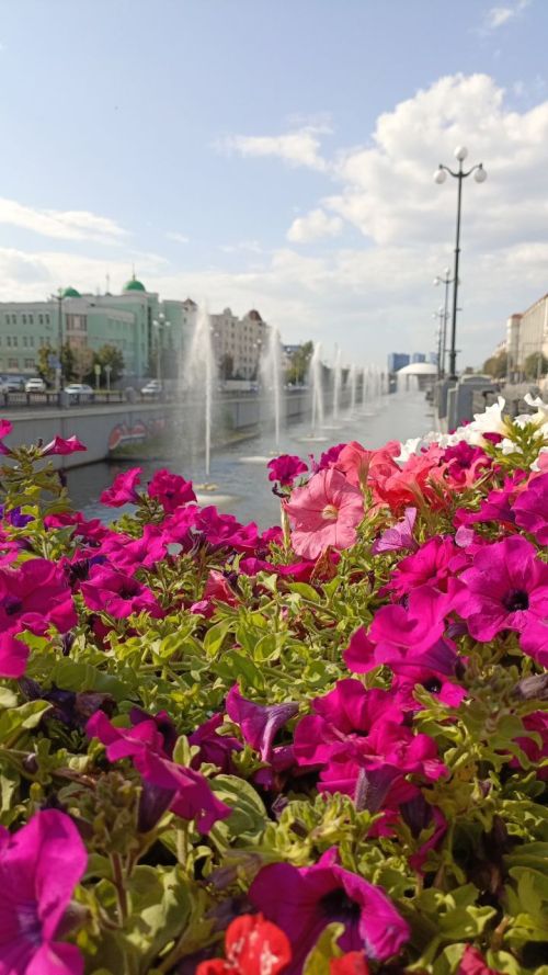 7 августка һава торышы