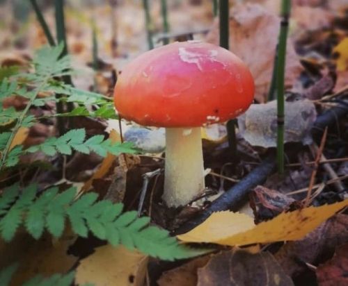 3 сентябрьгә һава торышы