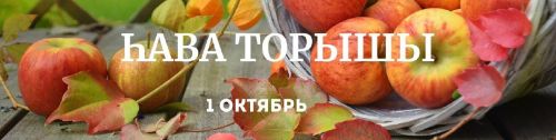 1 октябрьгә һава торышы