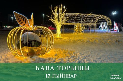 17 гыйнварга һава торышы