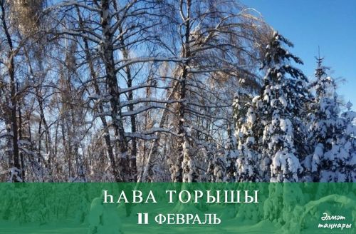 11 февральгә һава торышы