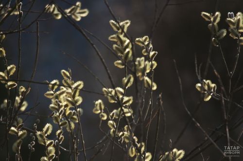 Каникуллар күңелле һәм куркынычсыз узсын