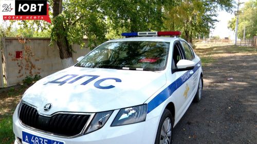 Яр Чаллы янындагы трассада үгез белән юл-транспорт һәлакәте машина йөртүченең гомерен өзгән