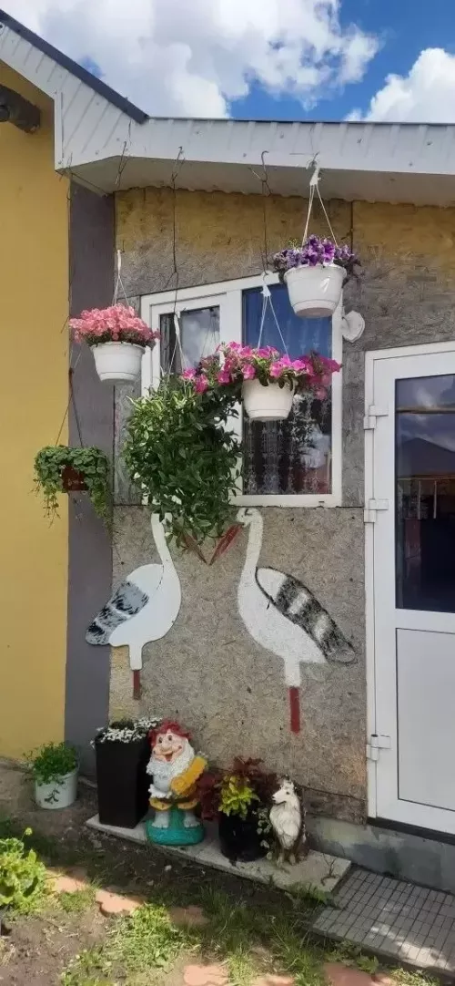 Чәчәкләр үстерүче Илдан