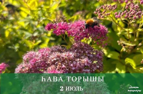 2 июльгә һава торышы