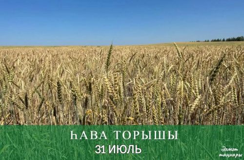31 июльгә һава торышы