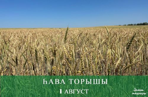 1 августка һава торышы