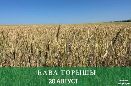 20 августка һава торышы