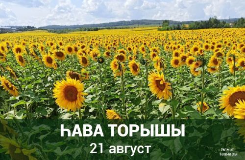 21 августка һава торышы