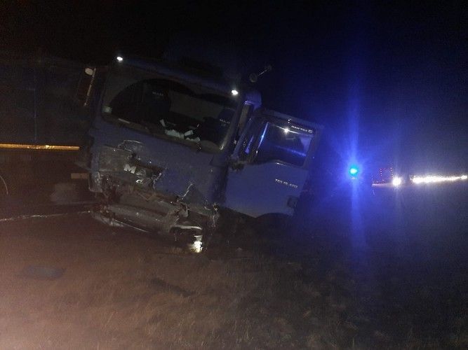 В Татарстане кабан спровоцировал смертельную аварию на трассе