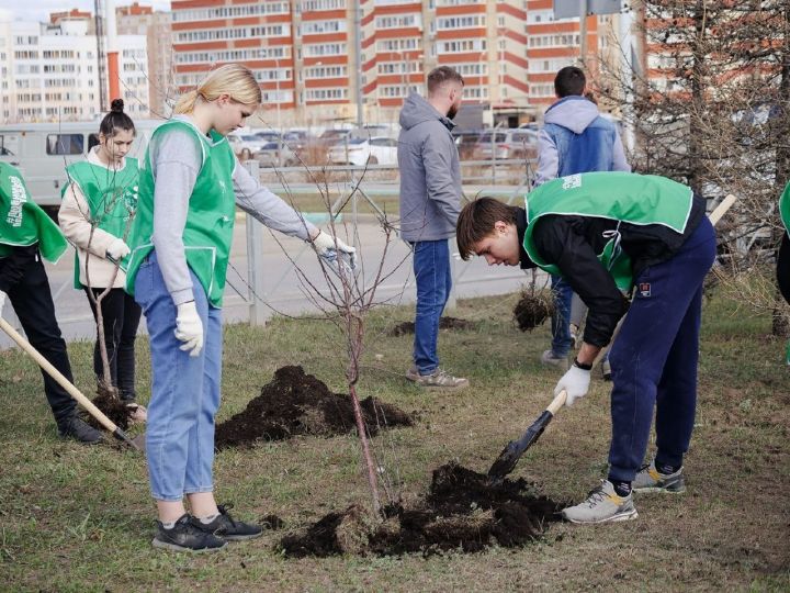 Әлмәттә студентлар агач утыртты