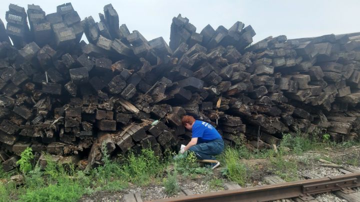 Экологлар Әлмәт районында табигать өчен зарарлы иске шпаллар складын тапкан