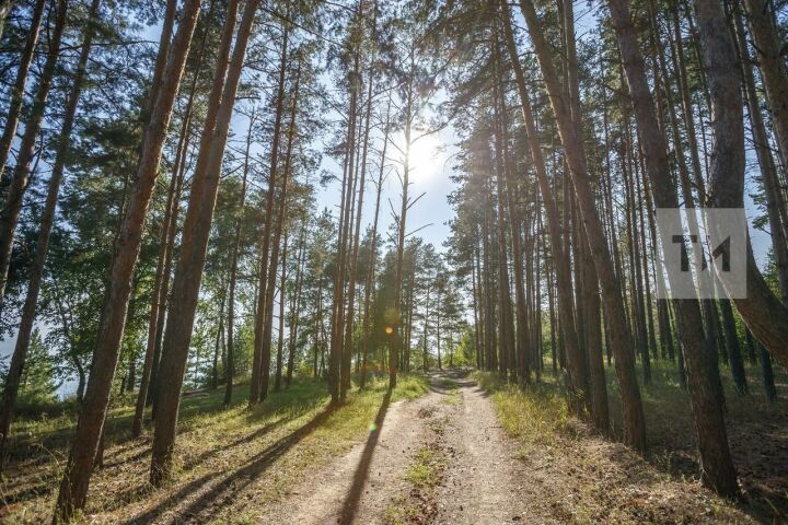 Әлмәт районында балалар лагере ремонт көтә