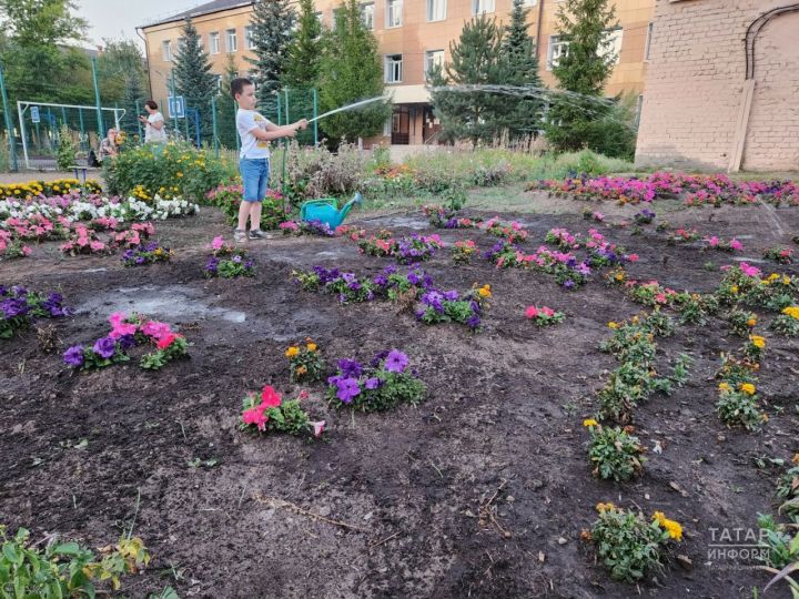 Быелдан баланы мәктәп бакчасында эшләтү өчен ата-ана рөхсәте кирәкми