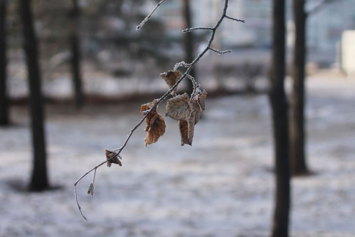 8 декабрьгә һава торышы