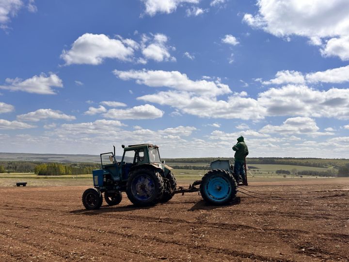 Җир караганны ярата