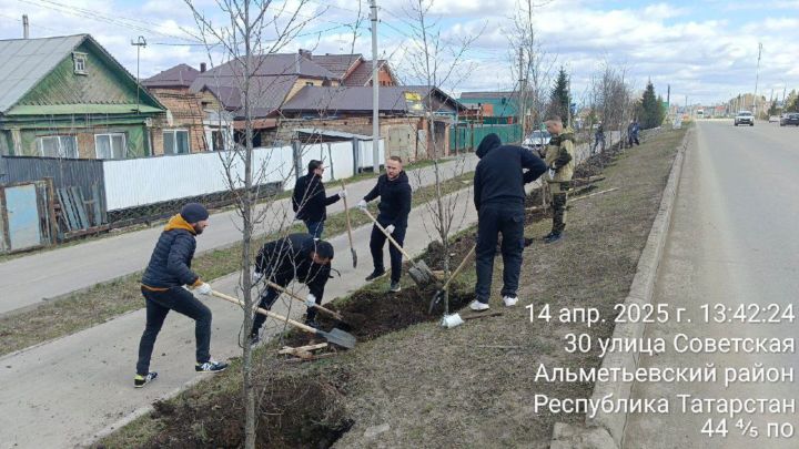 Әлмәттә агачлар утырттылар