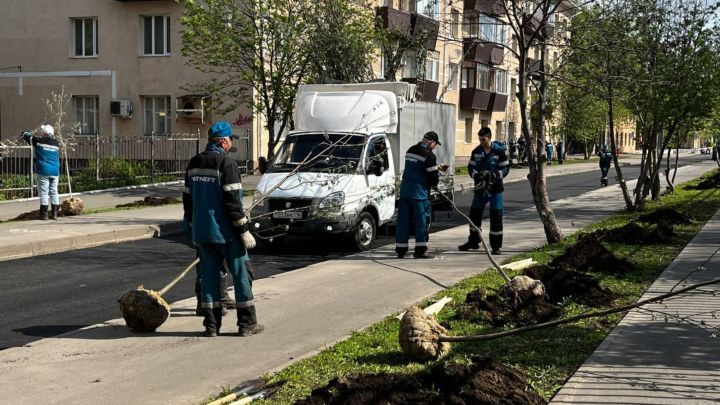 Әлмәтнең Тимирязев урамында 50 дән артык агач утыртылды